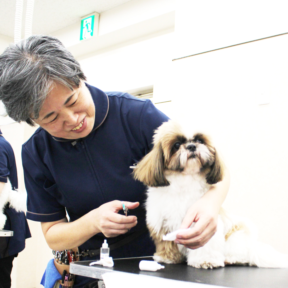 ２年生へ向けて先生の試技会～午後の部～